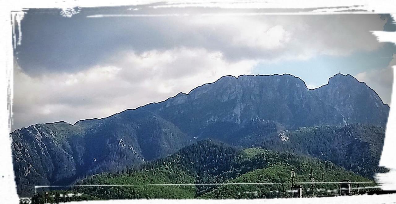 Pokoje W Centrum "Cicha" Zakopane Buitenkant foto